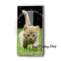 Taschentuch K&auml;tzchen